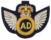 Infantry Badge